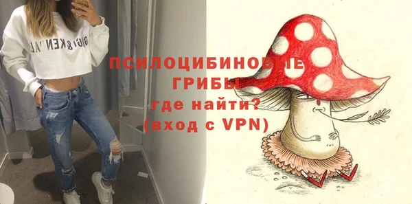 молекула духа Алексин