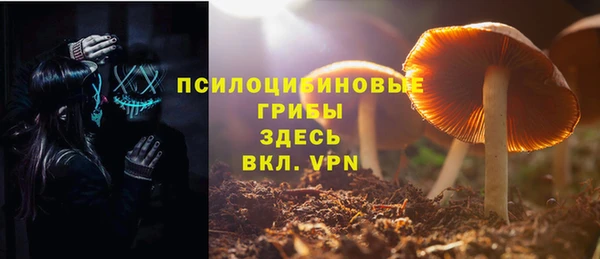 apvp Покров