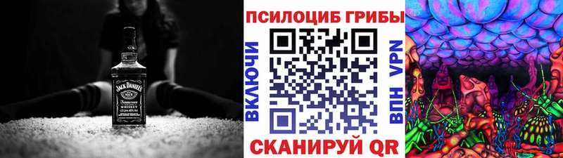 blacksprut онион  Долинск  Галлюциногенные грибы GOLDEN TEACHER 